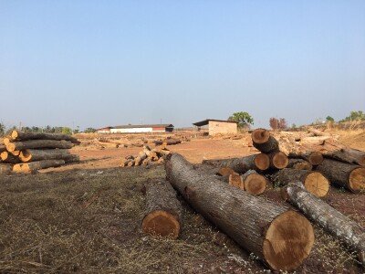 നീലേശ്വരം മര കമ്പനി വില്പനയ്ക്ക് (WOOD SAW MILL)